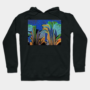 Celebration Hoodie